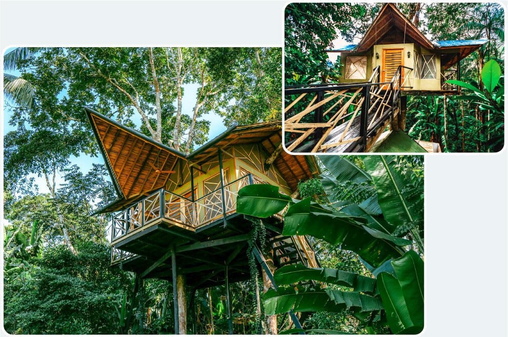 Burú Nature Hotel - Ecohabs en la selva amazónica – Hospedaje en casas en los árboles en Leticia, Colombia - Amazon rainforest ecohabs – Treehouse lodging in Leticia, Colombia