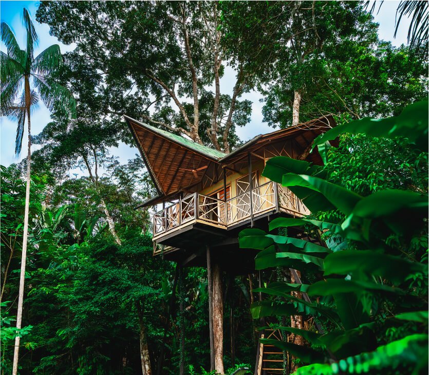 Burú Nature Hotel - Ecohabs en la selva amazónica – Hospedaje en casas en los árboles en Leticia, Colombia - Amazon rainforest ecohabs – Treehouse lodging in Leticia, Colombia