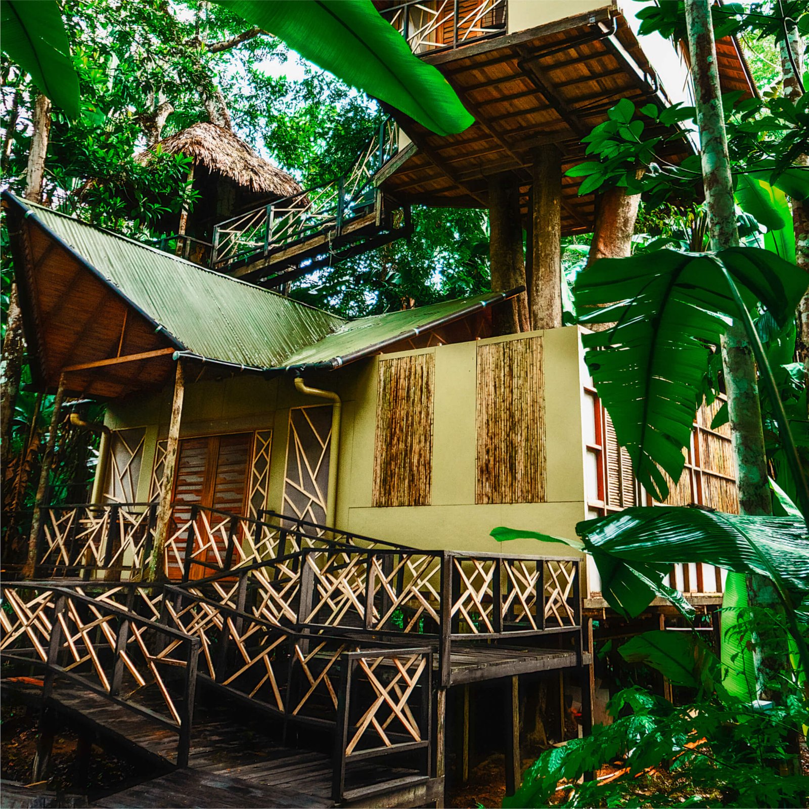 Burú Nature Hotel - Ecohabs en la selva amazónica – Hospedaje en casas en los árboles en Leticia, Colombia - Amazon rainforest ecohabs – Treehouse lodging in Leticia, Colombia
