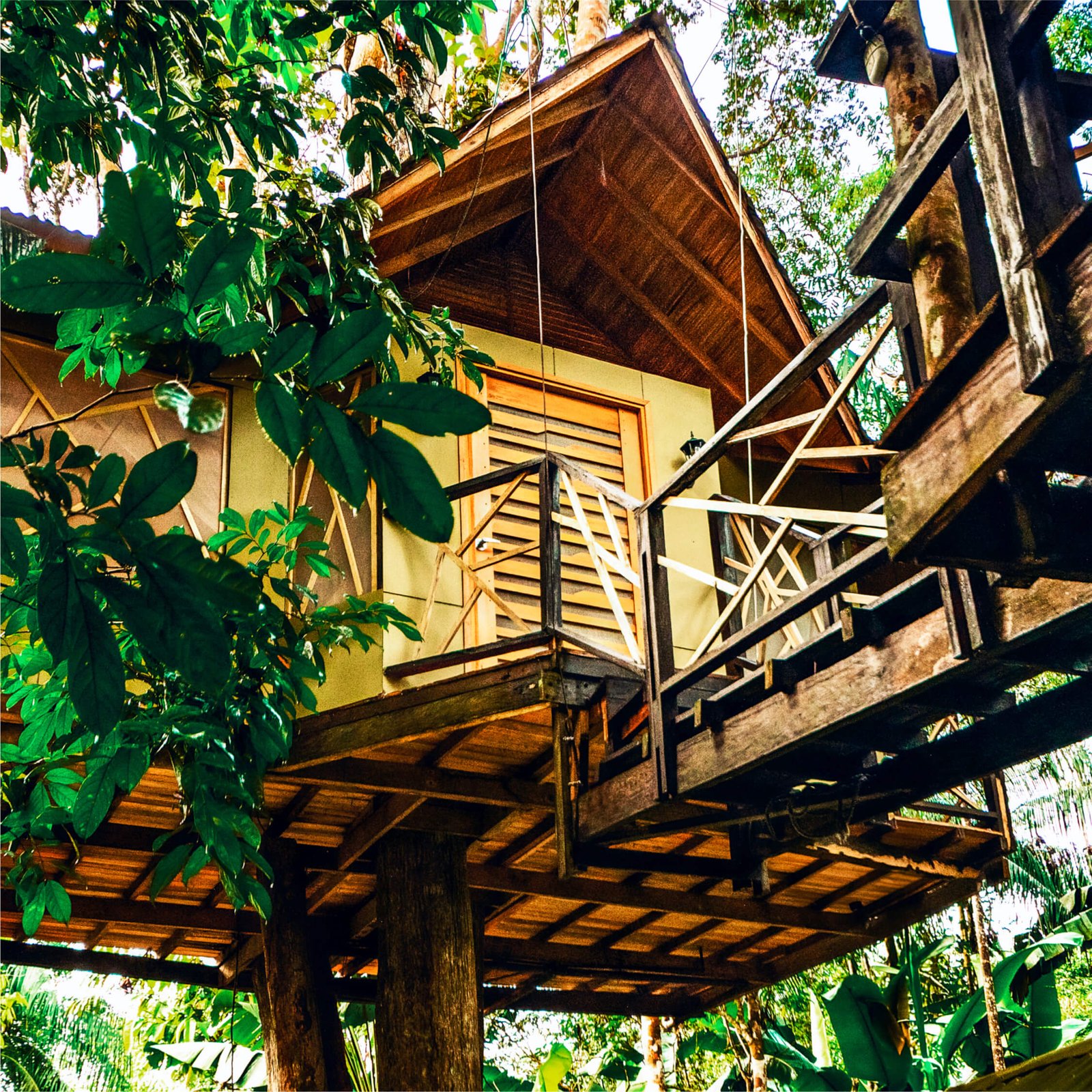 Burú Nature Hotel - Ecohabs en la selva amazónica – Hospedaje en casas en los árboles en Leticia, Colombia - Amazon rainforest ecohabs – Treehouse lodging in Leticia, Colombia