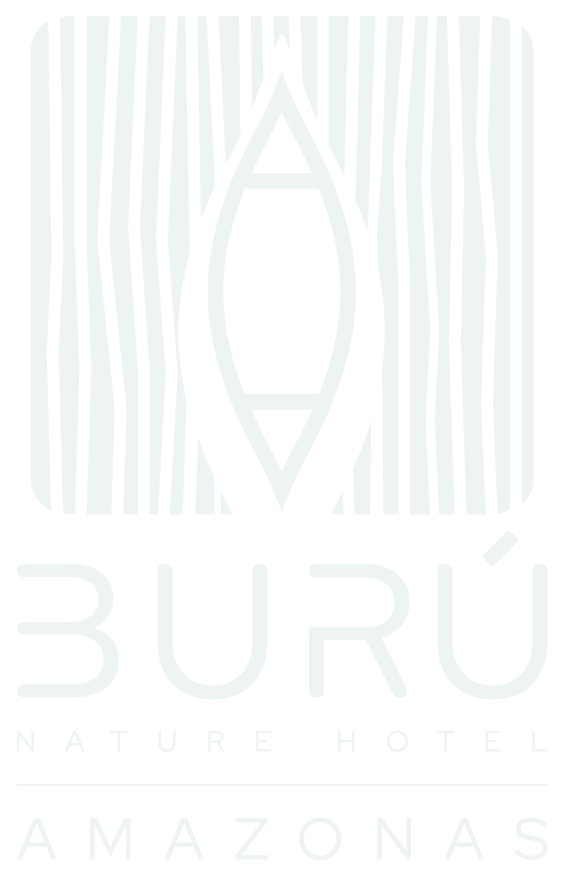 Burú Nature Hotel - Ecohabs en la selva amazónica – Hospedaje en casas en los árboles en Leticia, Colombia - Amazon rainforest ecohabs – Treehouse lodging in Leticia, Colombia
