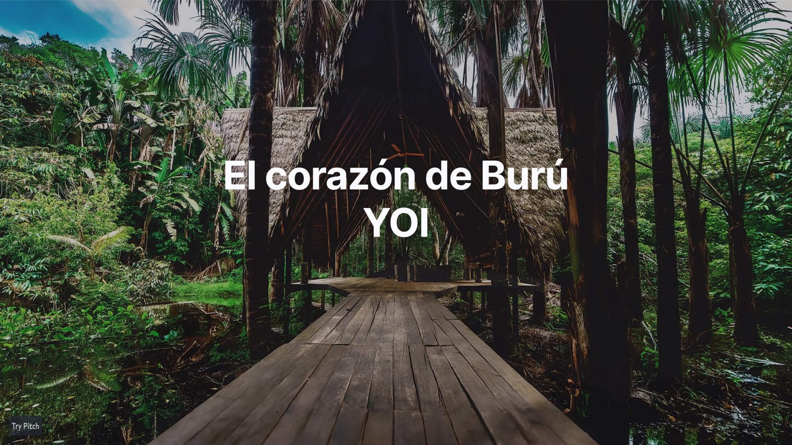 Burú Nature Hotel - Ecohabs en la selva amazónica – Hospedaje en casas en los árboles en Leticia, Colombia - Amazon rainforest ecohabs – Treehouse lodging in Leticia, Colombia