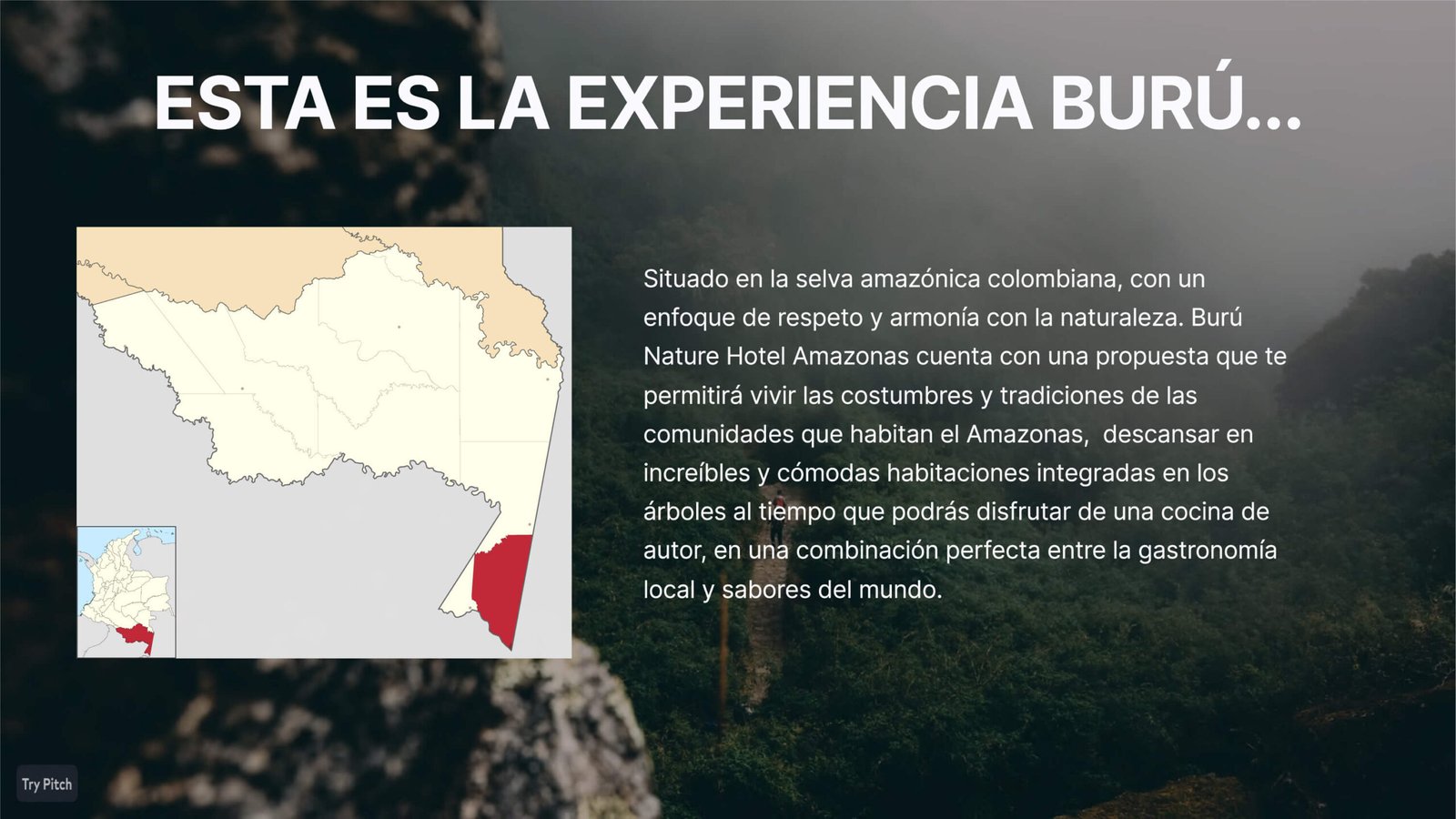 Burú Nature Hotel - Ecohabs en la selva amazónica – Hospedaje en casas en los árboles en Leticia, Colombia - Amazon rainforest ecohabs – Treehouse lodging in Leticia, Colombia