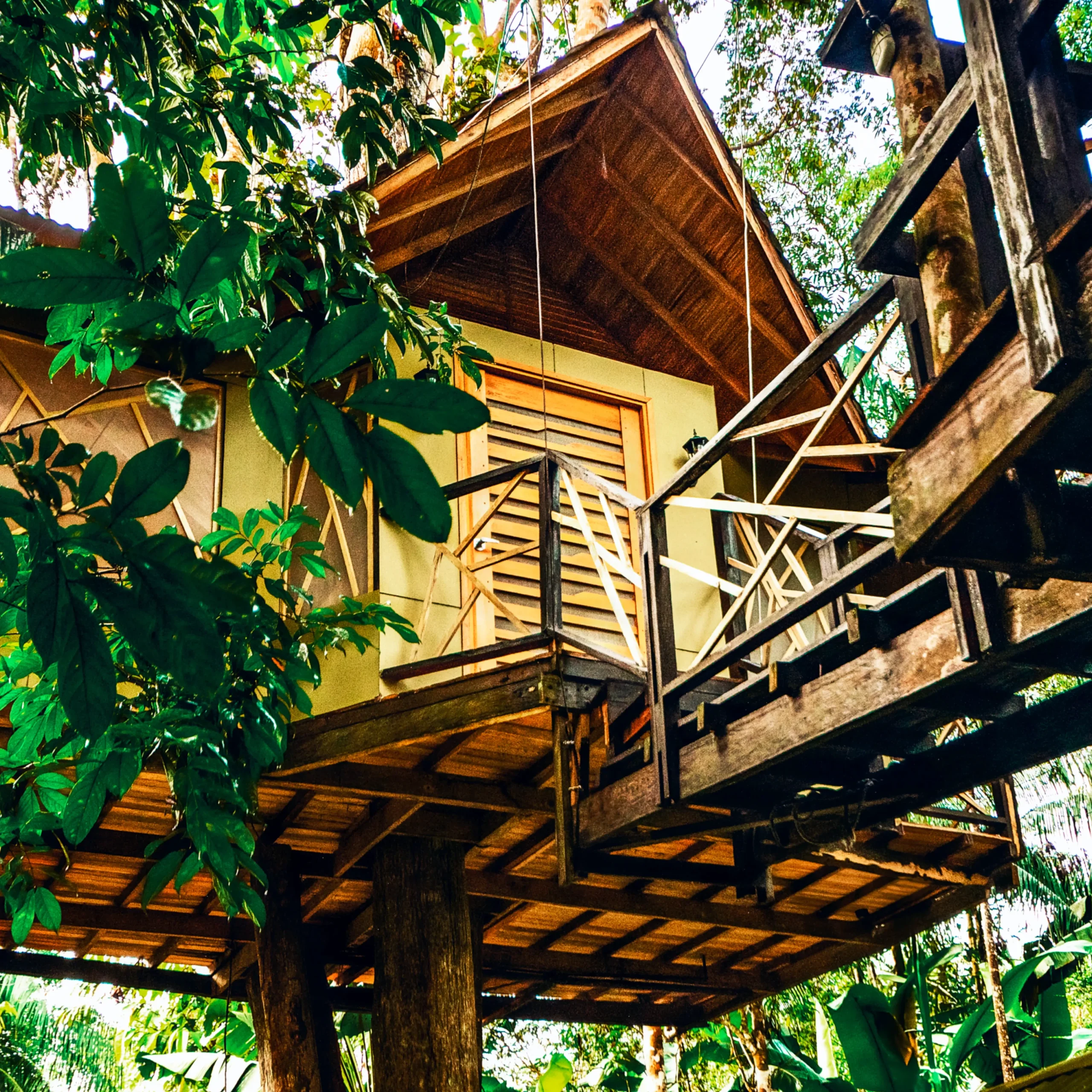 Hotel de lujo en el Amazonas Burú Nature Hotel en Leticia, Colombia, mostrando suites exclusivas en la selva y tours fluviales premium con Siempre Colombia. Amazon luxury hotel Burú Nature Hotel in Leticia, Colombia, featuring exclusive jungle suites and premium river tours with Siempre Colombia. Burú Nature Hotel Deluxe - WhatsApp 304 533 89 43 - www.burunaturehotel.com - @Burunaturehote - (https://www.burunaturehotel.com) l - Siempre Colombia - @SiempreCol Burú Nature Hotel - Ecohabs en la selva amazónica – Hospedaje en casas en los árboles en Leticia, Colombia - Amazon rainforest ecohabs – Treehouse lodging in Leticia, Colombia