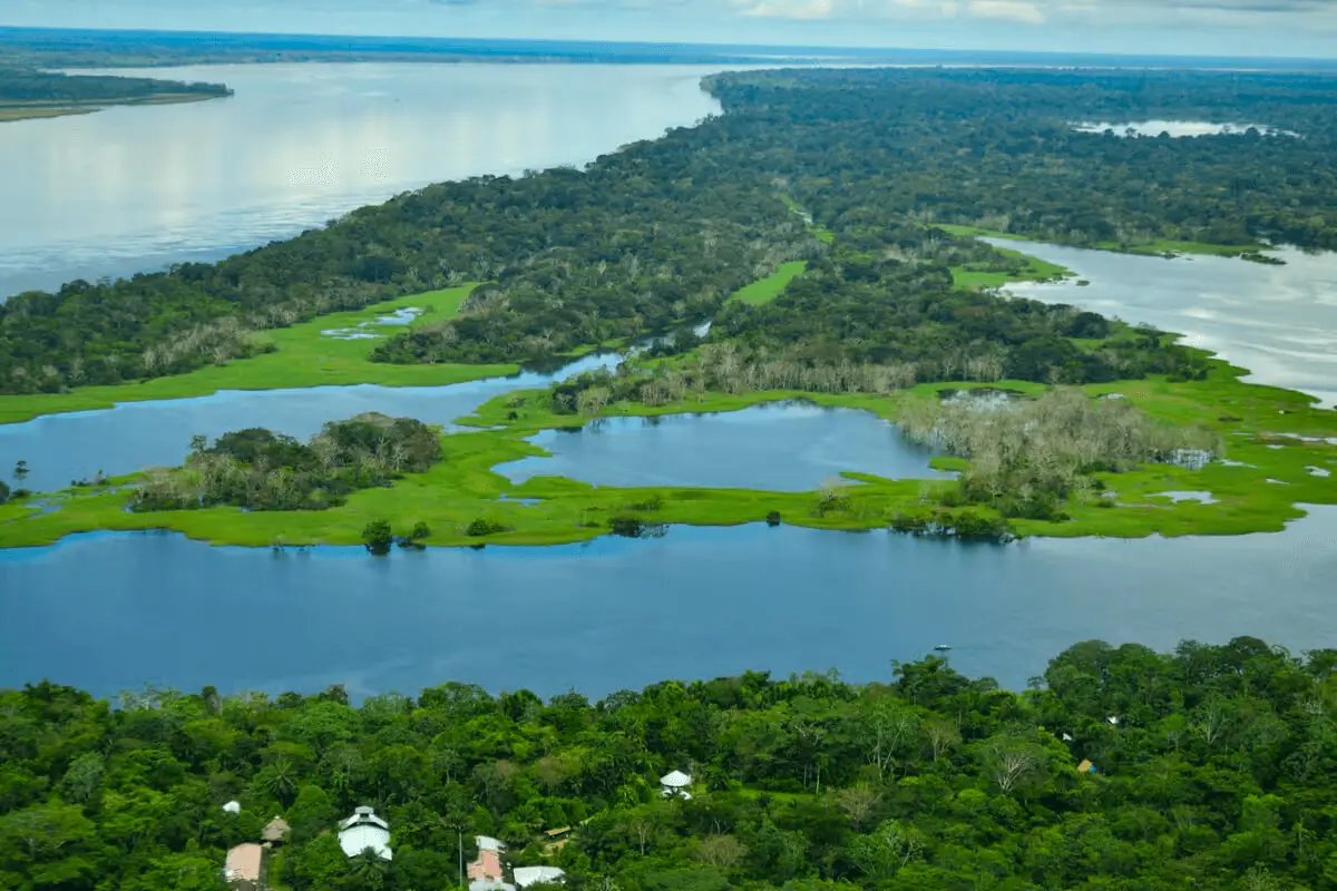 Hotel de lujo en el Amazonas Burú Nature Hotel en Leticia, Colombia, mostrando suites exclusivas en la selva y tours fluviales premium con Siempre Colombia. Amazon luxury hotel Burú Nature Hotel in Leticia, Colombia, featuring exclusive jungle suites and premium river tours with Siempre Colombia. Burú Nature Hotel Deluxe - WhatsApp 304 533 89 43 - www.burunaturehotel.com - @Burunaturehote - (https://www.burunaturehotel.com) l - Siempre Colombia - @SiempreCol Burú Nature Hotel - Ecohabs en la selva amazónica – Hospedaje en casas en los árboles en Leticia, Colombia - Amazon rainforest ecohabs – Treehouse lodging in Leticia, Colombia