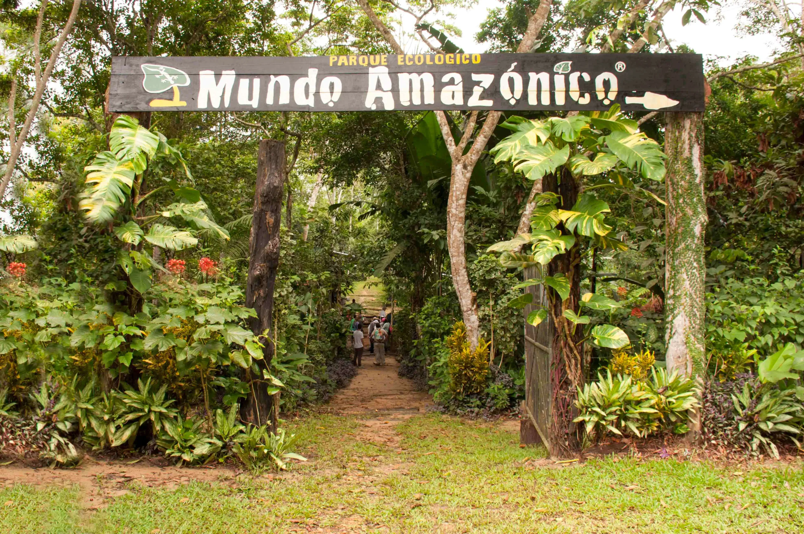 Hotel de lujo en el Amazonas Burú Nature Hotel en Leticia, Colombia, mostrando suites exclusivas en la selva y tours fluviales premium con Siempre Colombia. Amazon luxury hotel Burú Nature Hotel in Leticia, Colombia, featuring exclusive jungle suites and premium river tours with Siempre Colombia. Burú Nature Hotel Deluxe - WhatsApp 304 533 89 43 - www.burunaturehotel.com - @Burunaturehote - (https://www.burunaturehotel.com) l - Siempre Colombia - @SiempreCol Burú Nature Hotel - Ecohabs en la selva amazónica – Hospedaje en casas en los árboles en Leticia, Colombia - Amazon rainforest ecohabs – Treehouse lodging in Leticia, Colombia