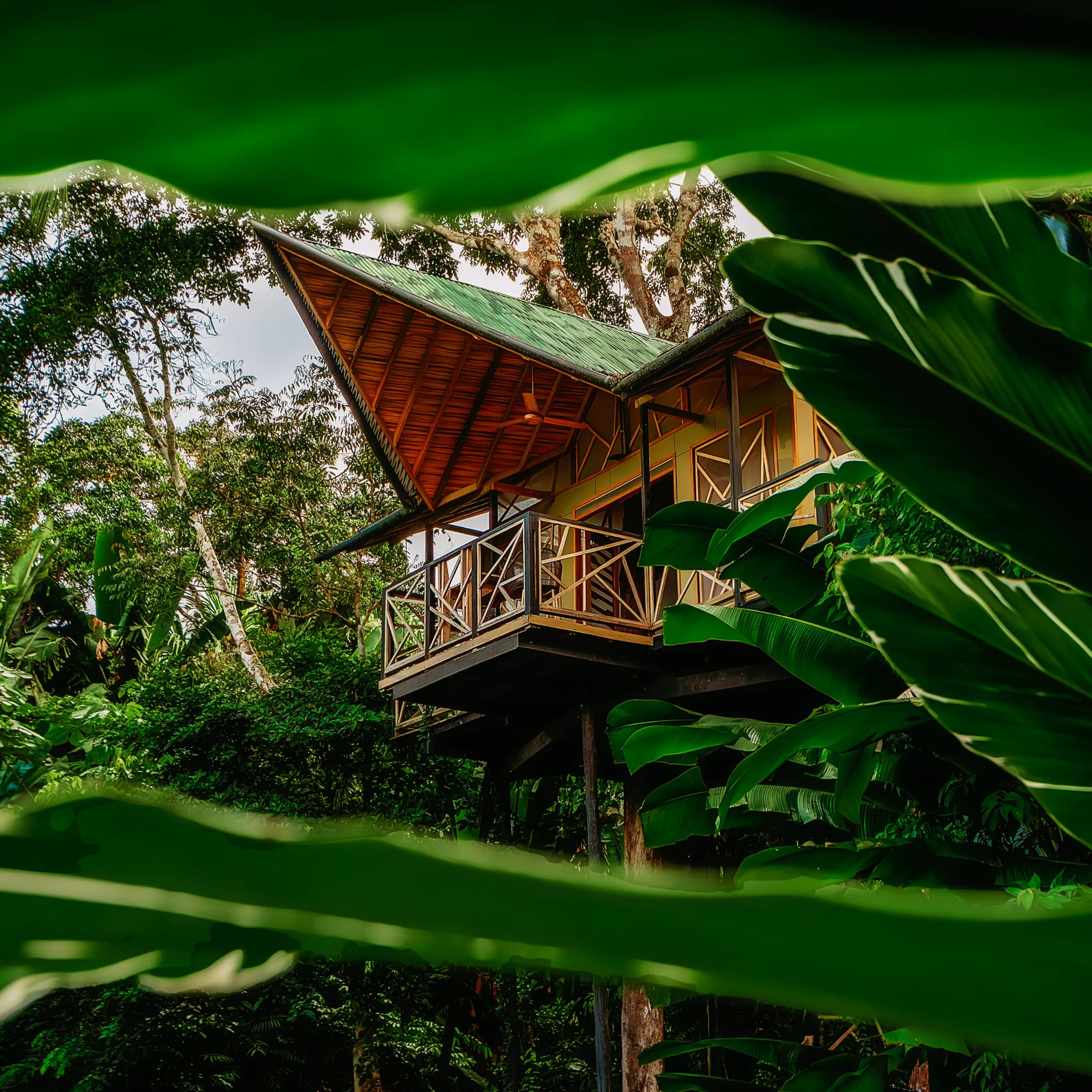 Hotel de lujo en el Amazonas Burú Nature Hotel en Leticia, Colombia, mostrando suites exclusivas en la selva y tours fluviales premium con Siempre Colombia. Amazon luxury hotel Burú Nature Hotel in Leticia, Colombia, featuring exclusive jungle suites and premium river tours with Siempre Colombia. Burú Nature Hotel Deluxe - WhatsApp 304 533 89 43 - www.burunaturehotel.com - @Burunaturehote - (https://www.burunaturehotel.com) l - Siempre Colombia - @SiempreCol Burú Nature Hotel - Ecohabs en la selva amazónica – Hospedaje en casas en los árboles en Leticia, Colombia - Amazon rainforest ecohabs – Treehouse lodging in Leticia, Colombia