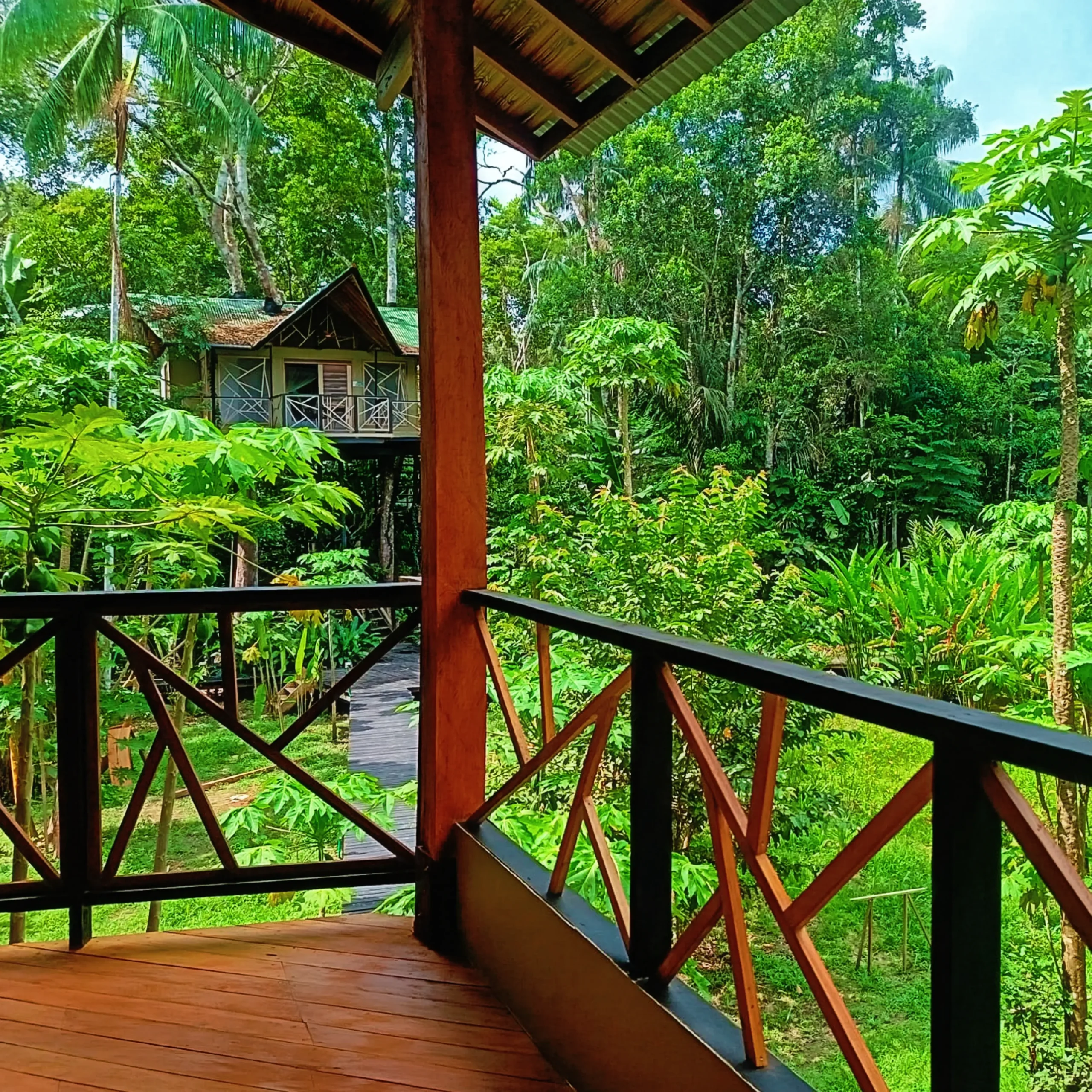 Hotel de lujo en el Amazonas Burú Nature Hotel en Leticia, Colombia, mostrando suites exclusivas en la selva y tours fluviales premium con Siempre Colombia. Amazon luxury hotel Burú Nature Hotel in Leticia, Colombia, featuring exclusive jungle suites and premium river tours with Siempre Colombia. Burú Nature Hotel Deluxe - WhatsApp 304 533 89 43 - www.burunaturehotel.com - @Burunaturehote - (https://www.burunaturehotel.com) l - Siempre Colombia - @SiempreCol Burú Nature Hotel - Ecohabs en la selva amazónica – Hospedaje en casas en los árboles en Leticia, Colombia - Amazon rainforest ecohabs – Treehouse lodging in Leticia, Colombia