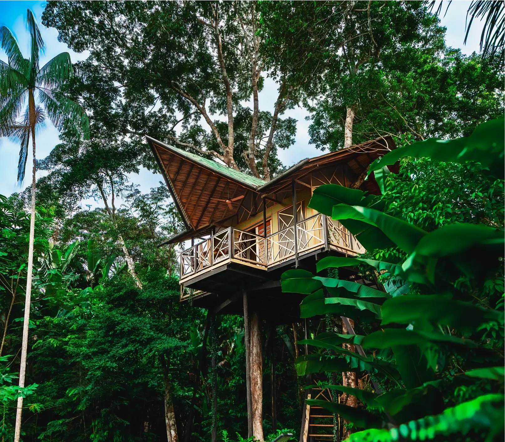Hotel de lujo en el Amazonas Burú Nature Hotel en Leticia, Colombia, mostrando suites exclusivas en la selva y tours fluviales premium con Siempre Colombia. Amazon luxury hotel Burú Nature Hotel in Leticia, Colombia, featuring exclusive jungle suites and premium river tours with Siempre Colombia.