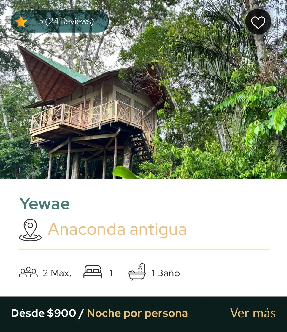 Hotel de lujo en el Amazonas Burú Nature Hotel en Leticia, Colombia, mostrando suites exclusivas en la selva y tours fluviales premium con Siempre Colombia. Amazon luxury hotel Burú Nature Hotel in Leticia, Colombia, featuring exclusive jungle suites and premium river tours with Siempre Colombia.