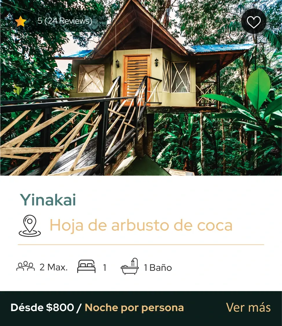 Hotel de lujo en el Amazonas Burú Nature Hotel en Leticia, Colombia, mostrando suites exclusivas en la selva y tours fluviales premium con Siempre Colombia. Amazon luxury hotel Burú Nature Hotel in Leticia, Colombia, featuring exclusive jungle suites and premium river tours with Siempre Colombia.