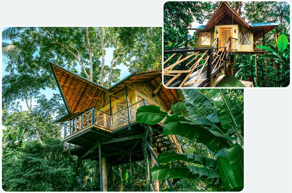 Hotel de lujo en el Amazonas Burú Nature Hotel en Leticia, Colombia, mostrando suites exclusivas en la selva y tours fluviales premium con Siempre Colombia. Amazon luxury hotel Burú Nature Hotel in Leticia, Colombia, featuring exclusive jungle suites and premium river tours with Siempre Colombia.