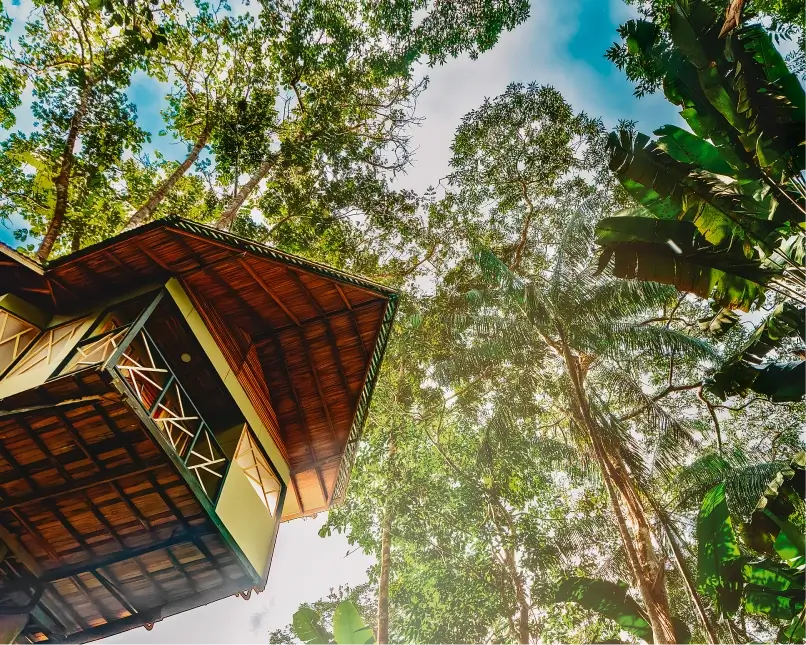 Hotel de lujo en el Amazonas Burú Nature Hotel en Leticia, Colombia, mostrando suites exclusivas en la selva y tours fluviales premium con Siempre Colombia. Amazon luxury hotel Burú Nature Hotel in Leticia, Colombia, featuring exclusive jungle suites and premium river tours with Siempre Colombia.