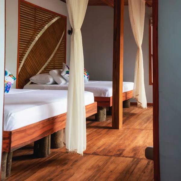 Hotel de lujo en el Amazonas Burú Nature Hotel en Leticia, Colombia, mostrando suites exclusivas en la selva y tours fluviales premium con Siempre Colombia. Amazon luxury hotel Burú Nature Hotel in Leticia, Colombia, featuring exclusive jungle suites and premium river tours with Siempre Colombia. Burú Nature Hotel Deluxe - WhatsApp 304 533 89 43 - www.burunaturehotel.com - @Burunaturehote - (https://www.burunaturehotel.com) l - Siempre Colombia - @SiempreCol Burú Nature Hotel - Ecohabs en la selva amazónica – Hospedaje en casas en los árboles en Leticia, Colombia - Amazon rainforest ecohabs – Treehouse lodging in Leticia, Colombia
